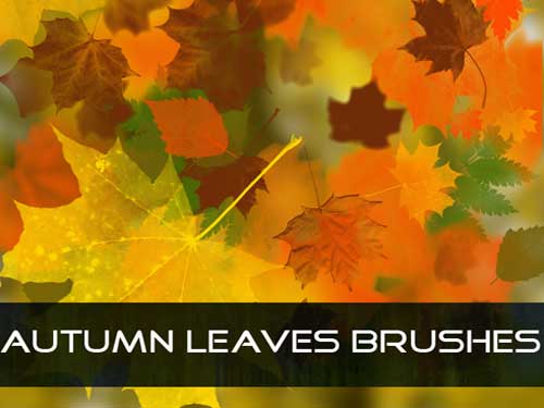 autumn leaves photoshop brushes