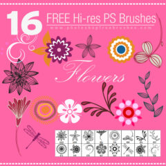 16 Free Hi-Res Vector Flower Photoshop Brushes