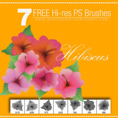Hibiscus: 7 Hi-Res Tropical Flower Brushes for Photoshop