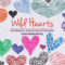 14 Wild Hearts Photoshop Brushes + PNG Images