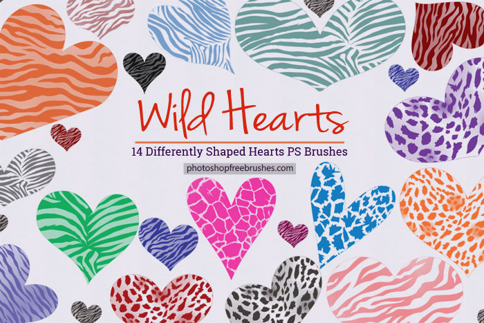 wild hearts brushes