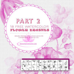 18 Watercolor Floral Brushes for Photoshop (Part 2)