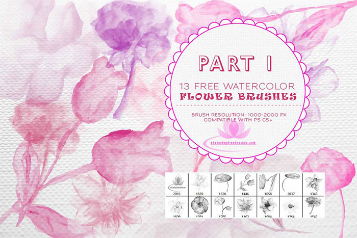 watercolor flower brushes