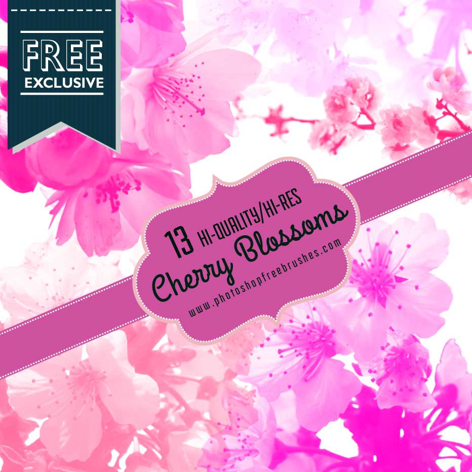 cherry blossoms brushes