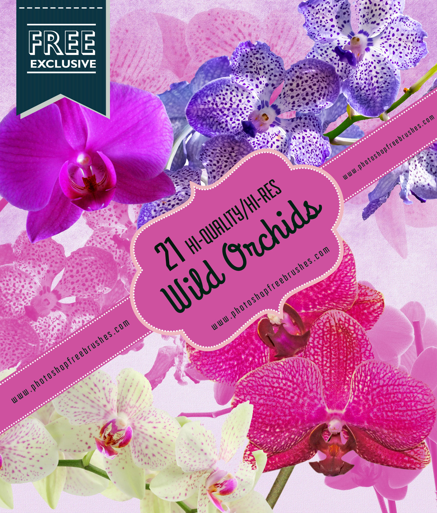 orchid-flower-brushes