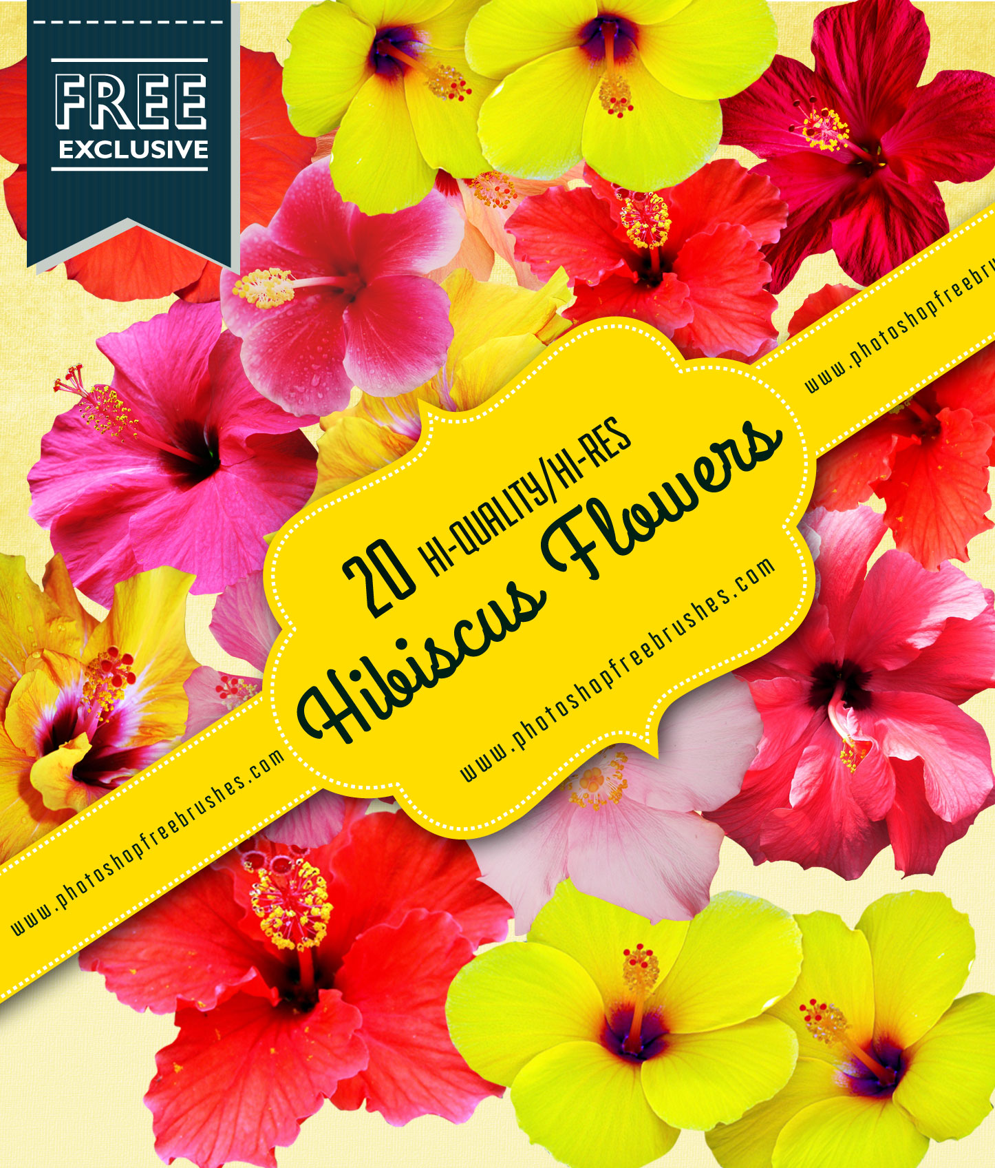 hibiscus-flower-brushes