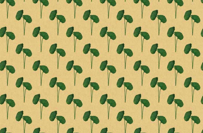 lotus-flower-patterns-12