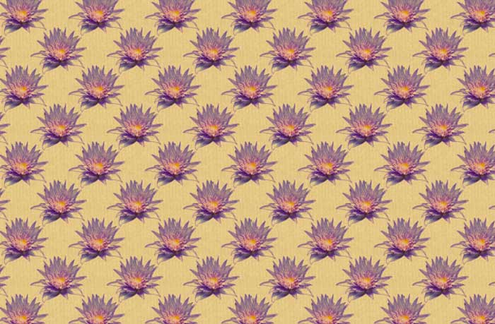 lotus-flower-patterns-3