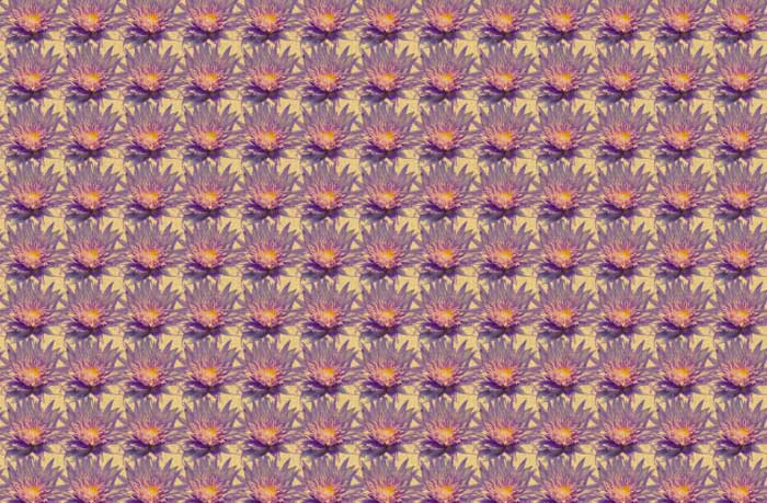lotus-flower-patterns-4