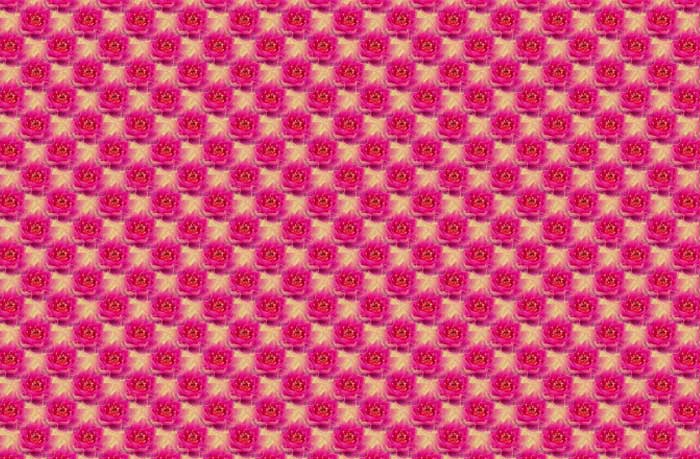 lotus-flower-patterns-5