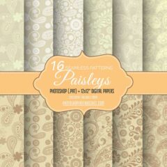 16 Indian Paisley Patterns on Brown Paper Texture