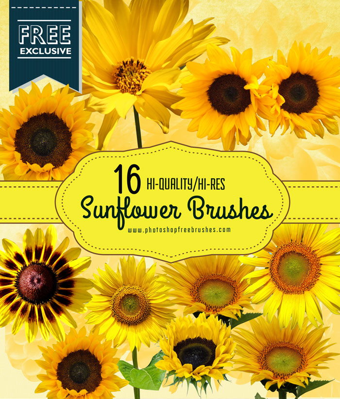 sunflower brushes