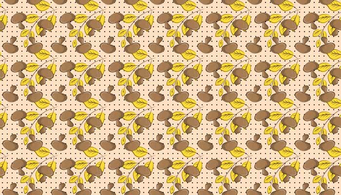autumn-hand-drawn-pattern-12