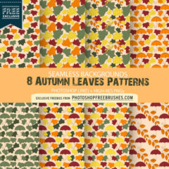 8 Autumn Leaf and Umbrella Patterns and Backgrounds