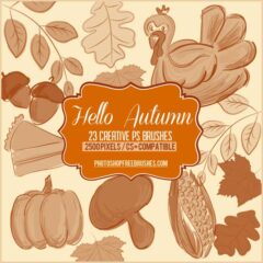 23 Thanksgiving and Autumn Hand-drawn Photoshop Brushes