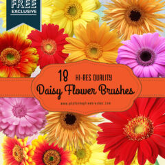 18 Daisy Flower Photoshop Brushes