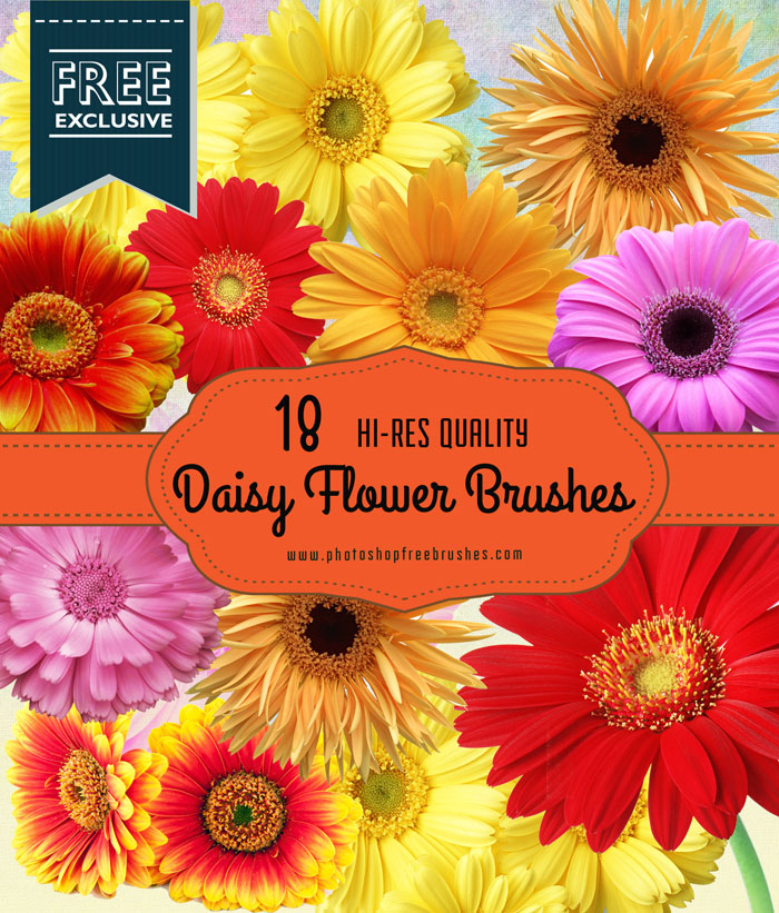 daisy flower brushes