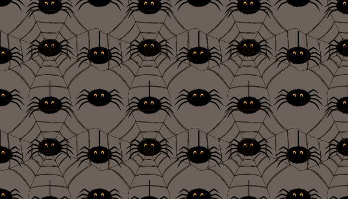 halloween-spider-web-background