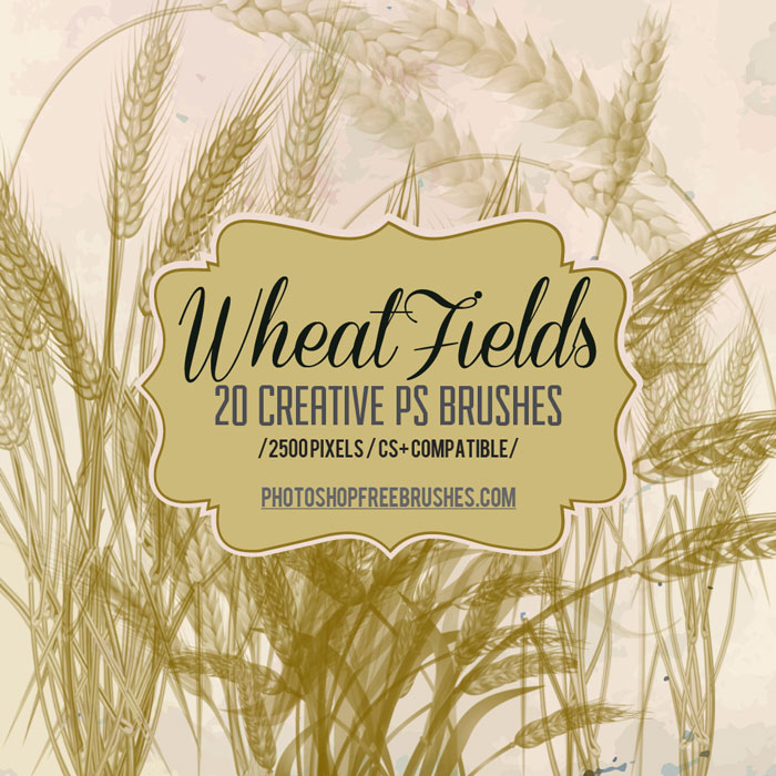 autumn wheat brushes
