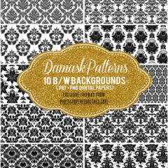 10 Black and White Vintage Damask Patterns