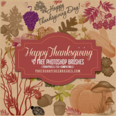 Thanksgiving and Fall Harvest: 47 Free PS Brushes