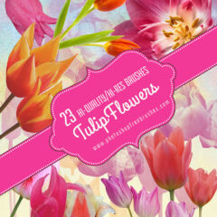 23 Free High-Res Tulips Photoshop Brushes