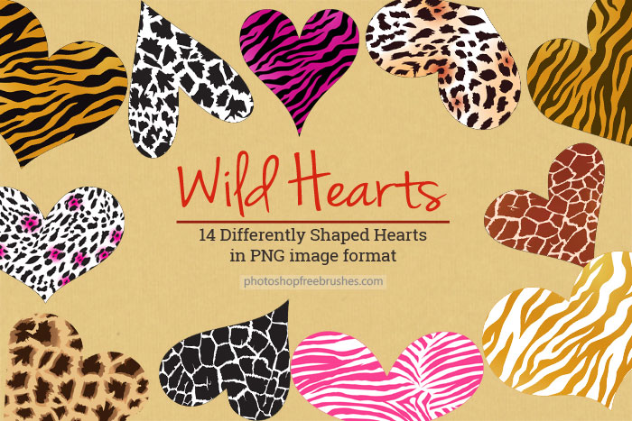 wild-hearts-png-1