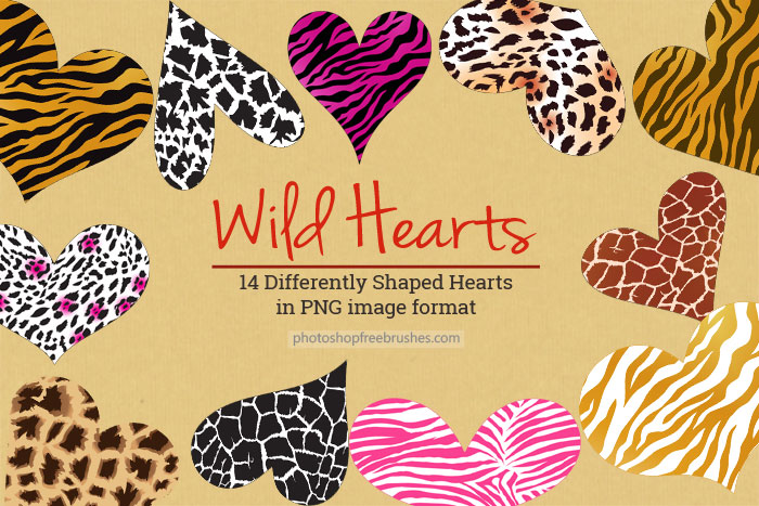 wild-hearts-png-1