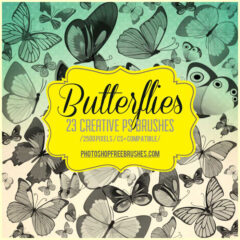 23 Butterfly Brushes Great for Making Nature-Themed Designs