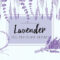 14 Free Lavender Flowers Brushes for Photoshop