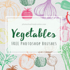 21 Free Sketched Vegetables Brushes for Photoshop