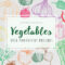 21 Free Sketched Vegetables Brushes for Photoshop