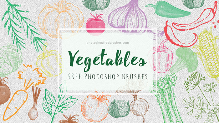 https://www.photoshopfreebrushes.com/wp-content/uploads/2017/06/sketched-vegetables-brushes-0.jpg