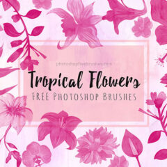 Free Tropical Flowers Brushes for Summer-Themed Projects