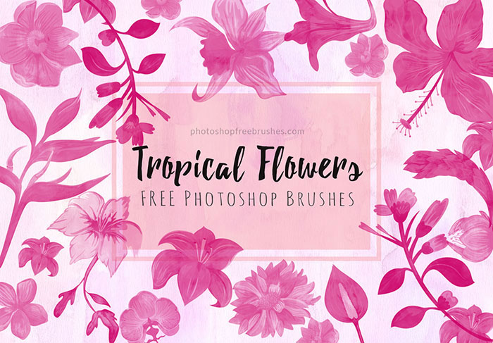 floral photoshop brushes