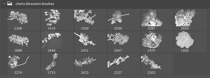 cherry blossoms photoshop brushes