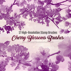 17 Decorative Cherry Blossoms Floral Photoshop Brushes