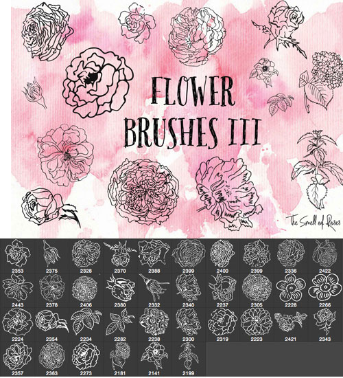 floral photoshop brushes