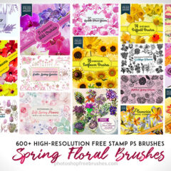 600+ Beautiful Floral Photoshop Brushes for Spring Designs