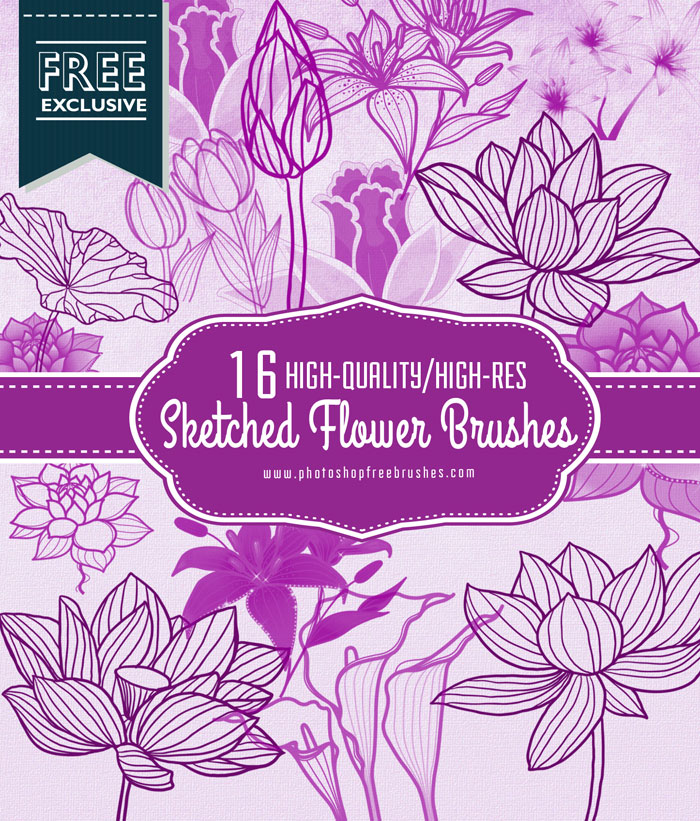 outlined flowers brushes