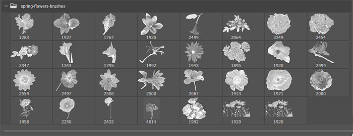 realistic flowers brushes