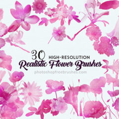 30 Realistic Flowers Brushes for Feminine Designs