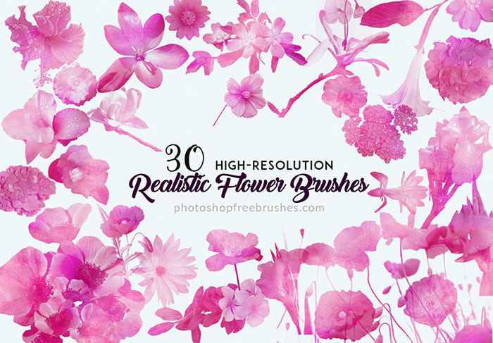 realistic flowers brushes