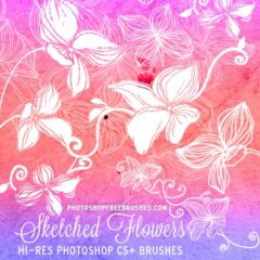 20 Free Sketched Flower Brushes Set for Photoshop