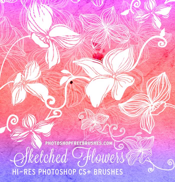 sketched flowers brushes