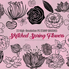 22 Artistically Sketched Spring Flowers Brushes to Download Free