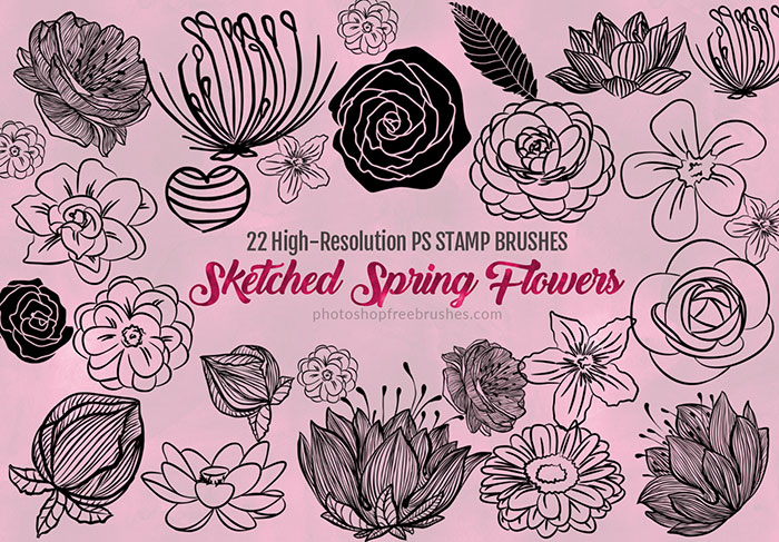 sketched spring flowers brushes