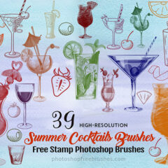 39 Summer Cocktails Brushes for Party Flyers Vol. 2