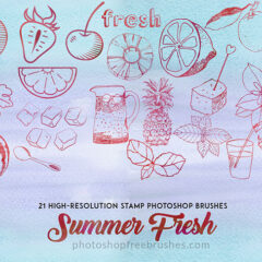 21 Refreshing Summer-Themed Photoshop Brushes