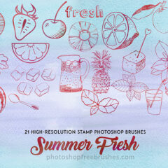 21 Refreshing Summer-Themed Photoshop Brushes